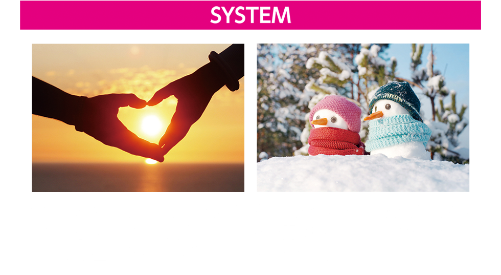 SYSTEM